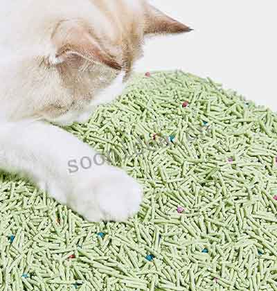 Tea Leaf Cat Litter