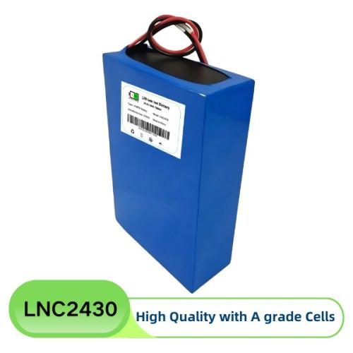 Custom 25.6V 30Ah LFP Batteries