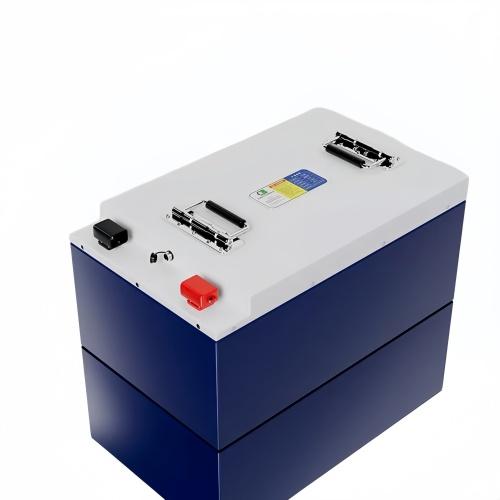 76.8V 160Ah Lithium Iron Phosphate Battery Pack for Electric Vehicles  